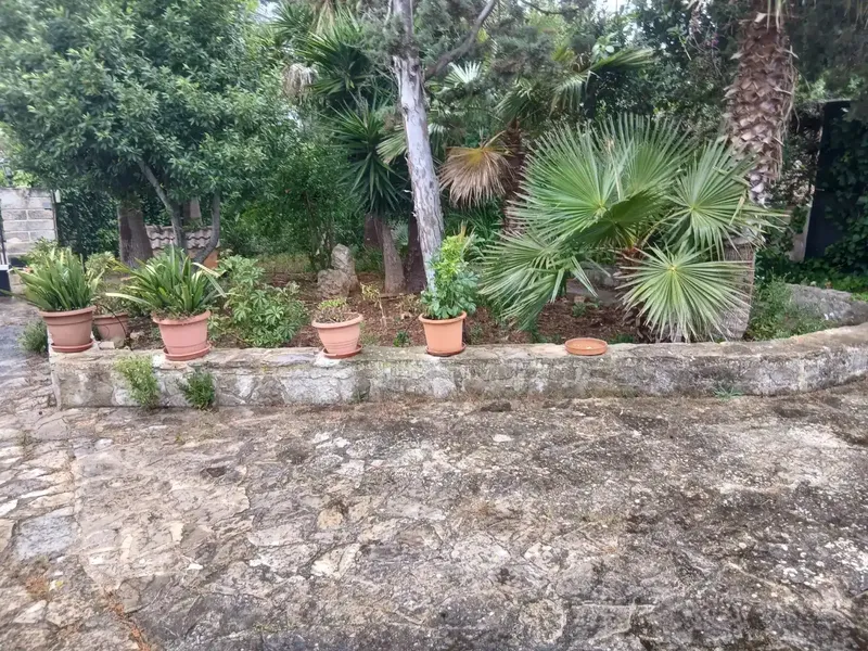 vendo hermosa finca en inca, tiene 1700 m2 de solar, con un chalet de140 m2 escriturados,la vivienda.tiene agua del puebloy luz de gesa , y  — photo 4