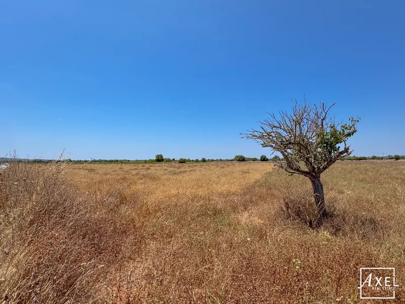 Between heaven and earth – natural plot with distant views — photo 7
