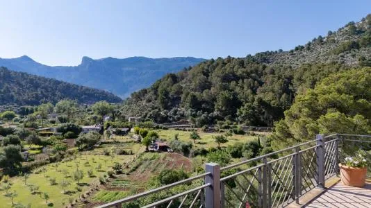 Single family house - Sóller (Puerto de Soller) — photo 11