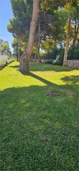 Bonito piso, con piscina y jardines comunitario a 50 metros de la playa, 1 habitación, cocinasalón, baño y terraza. Amueblado con lavadora,  — photo 8