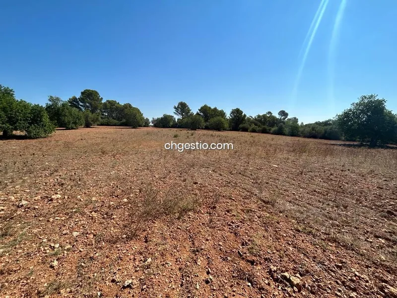 Plot in Campos — photo 7