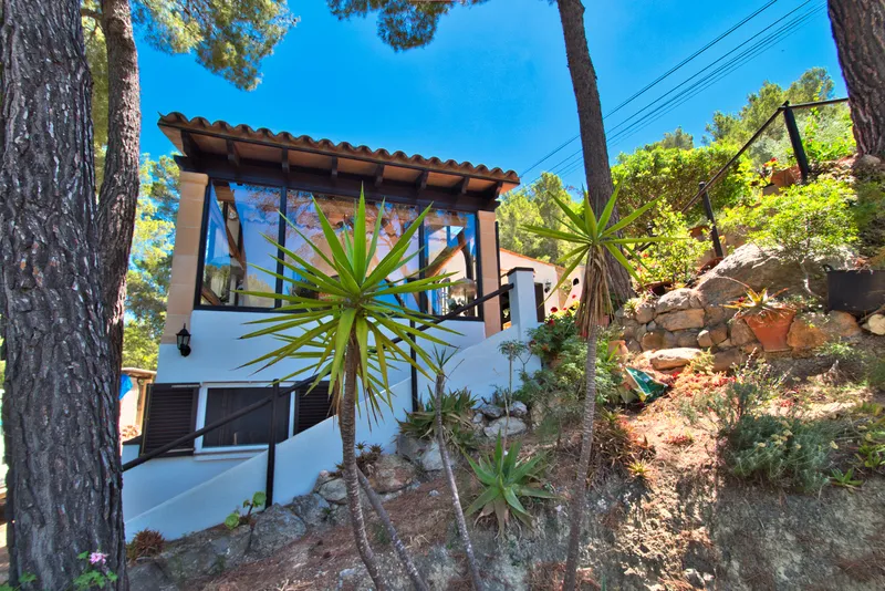 House in Sant Elm — photo 3