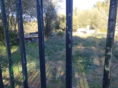Rustic Land - Sencelles (Es Ravellar), Built Surface 6m², Plot Surface 7100m², Distance to the Sea 20... — photo 5