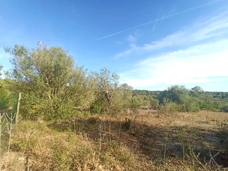 Country building plot of 77,648 m² in Son Gual area with building license, Palma — photo 6