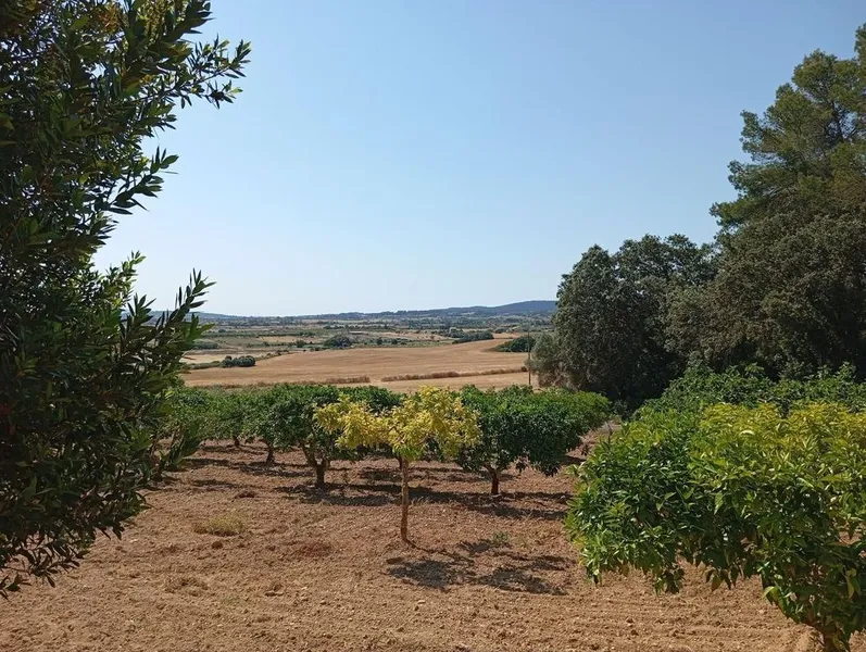 Rural or Farmhouse in Lloret de Vistalegre, Province of Balearic Islands — photo 6