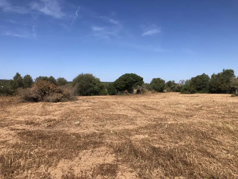 Set of 3 Plots Located 3.5 km from Santanyi in the Direction of Cas Concos — photo 2