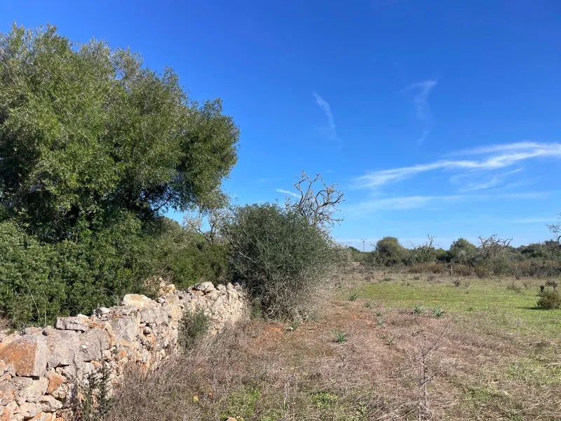 Project for a single-family house with pool, Ses Salines — photo 2