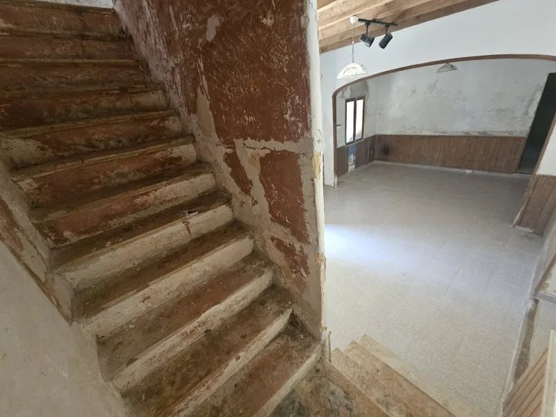 Finca, many outbuildings and land near Portocristo - Son Carrio — photo 8