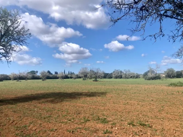 Rustic Fincas — photo 1