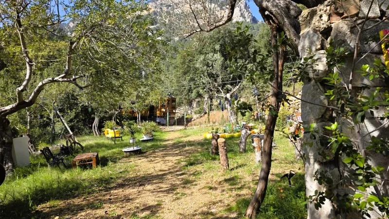 Olive grove with stone cottage and views of the Tramuntana in Sóller — photo 3