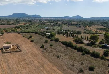 Rustic plot in Algaida — photo 11