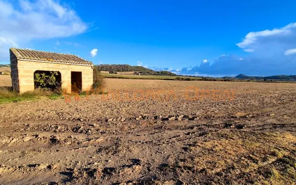 Buildable rustic plot for sale in Montuïri — photo 5
