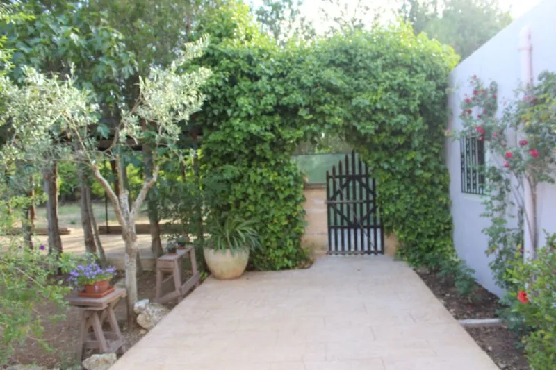 Magnificent rustic finca for rent in Manacor — photo 12