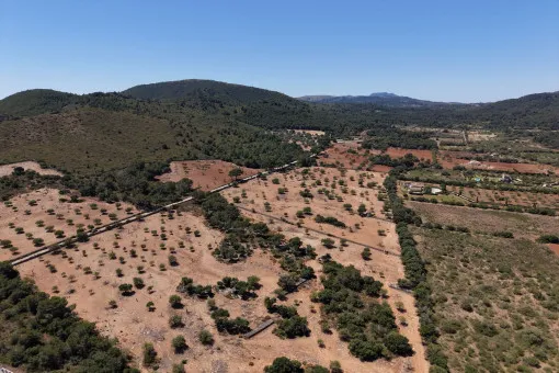 Cala Mandia, great building plot with recently granted building permit near Cala Mandia — photo 3