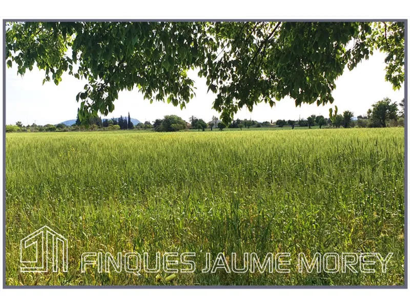 Land — photo 6