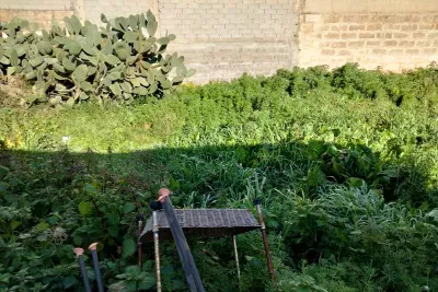 Urban plot of land — photo 1