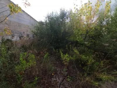 Building site in Muro, plot surface 295 m² — photo 2