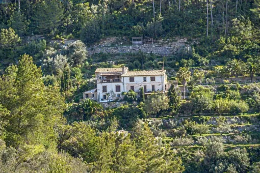 Banyalbufar, charming house with sea views in Banyalbufar – seasonal rent — photo 2
