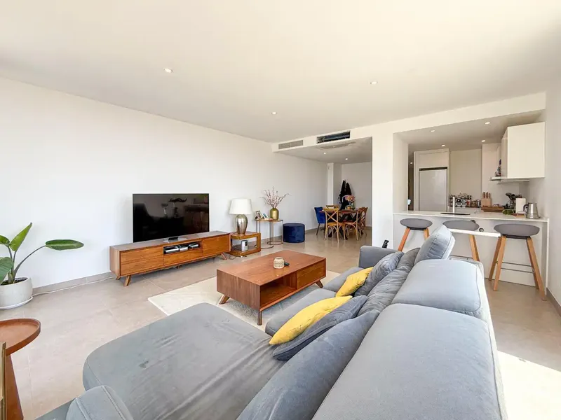 Discover this magnificent semi-new penthouse — photo 2