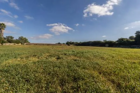 Plot — photo 2
