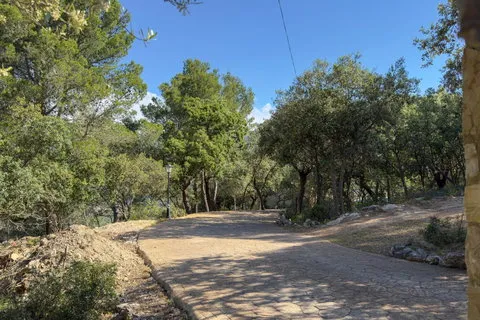 Country house in Puigpunyent, Mallorca — photo 10
