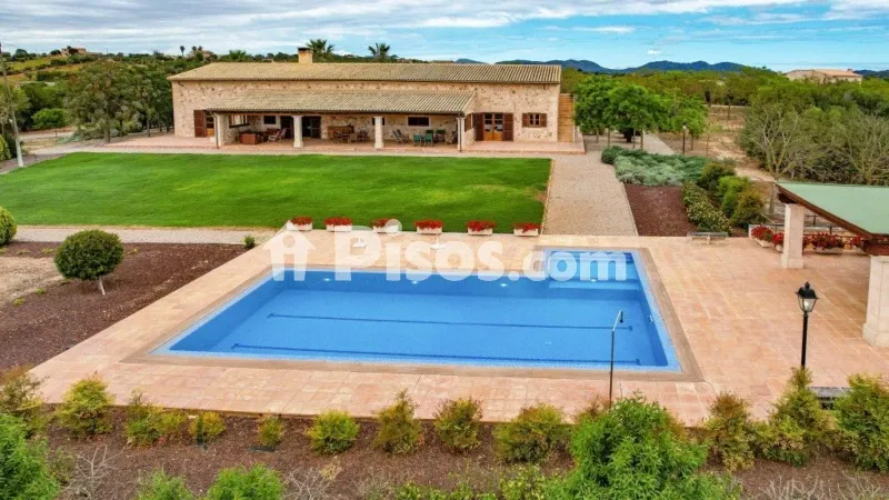 Rustic finca in Manacor — photo 2