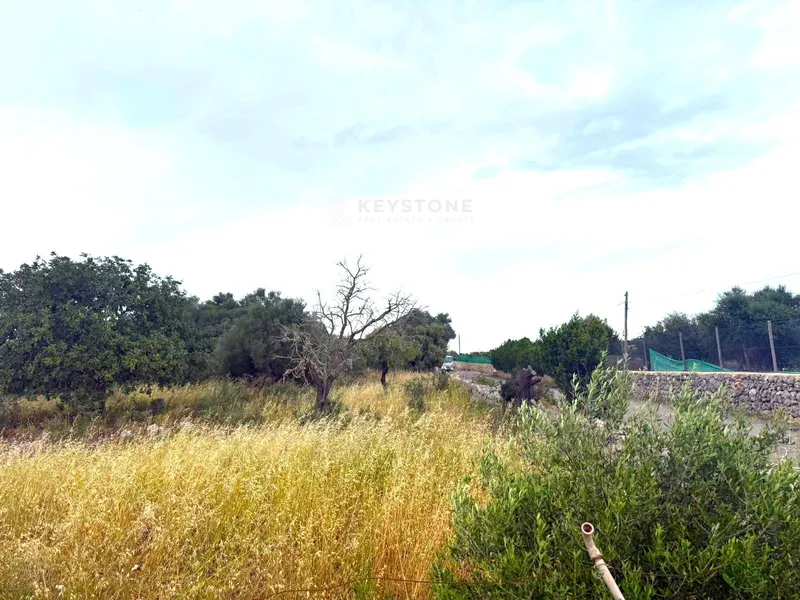 Plot — photo 10