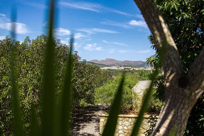 Exclusive finca in Artà with saltwater infinity pool, ETV license and panoramic views — photo 8