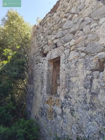 Rural Land - Maria de la Salut (Maria de la Salud), Built Surface 44m², Plot Surface 5000m² — photo 4