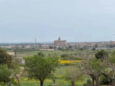 Rural Land - Porreres — photo 10