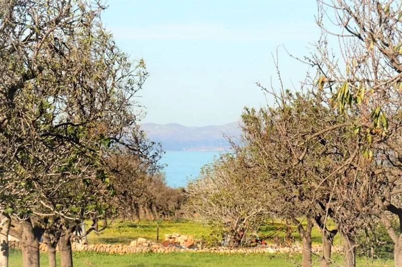 Rural or Farmhouse in Colònia de Sant Pere, Province of Balearic Islands — photo 11