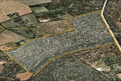230,000 m² land of countryside, Son N'Alberti area, Llucmajor — photo 1