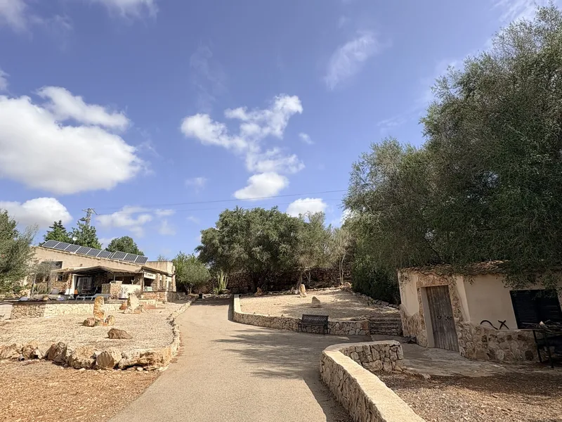 Rustic finca with pool and fountain near Cala Santanyi — photo 9