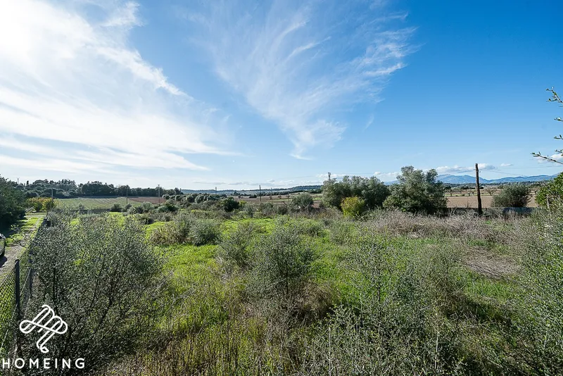 Rustic finca with electricity and own well water, near the beaches of Alcudia Bay — photo 11