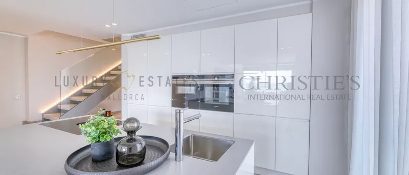 Luxurious triplex penthouse in Palma de Mallorca on the Paseo Maritimo — photo 8