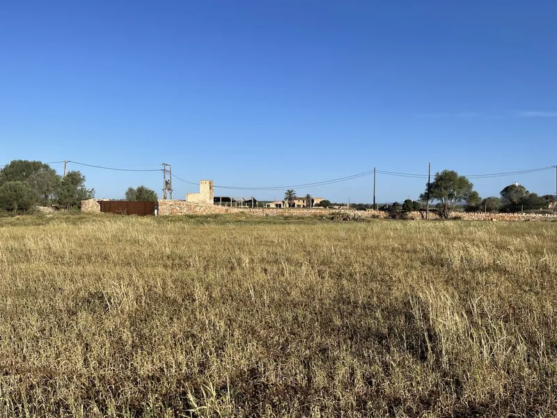 Plot Between Campos and Sa Rapita — photo 5