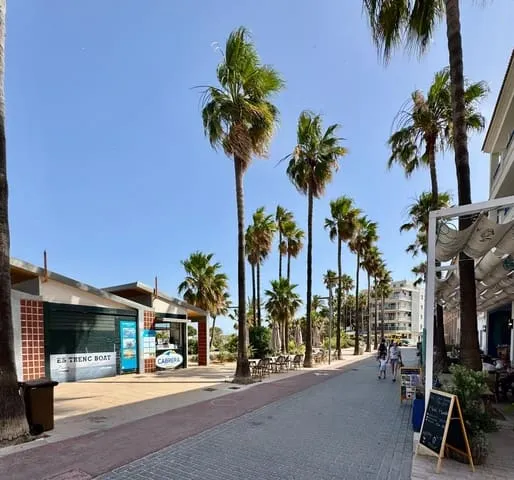 Apartment for rent in Colonia de Sant Jordi, Ses Salines — photo 3
