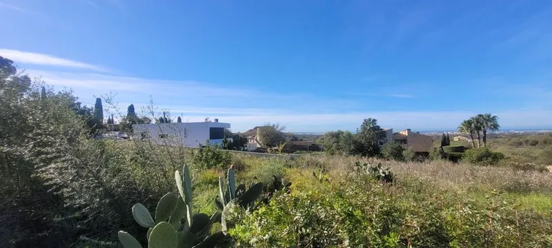 Land in Marratxí, Province of Balearic Islands — photo 10