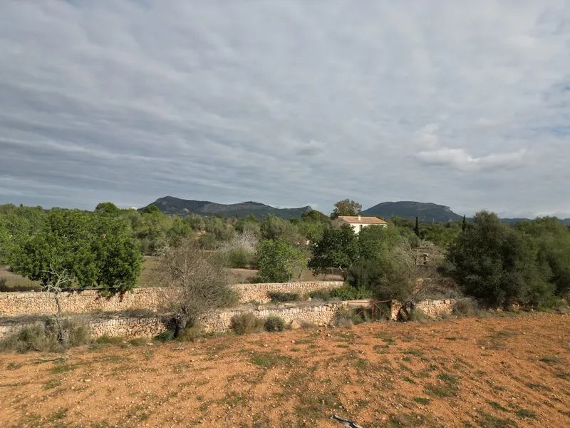 Finca in Llucmajor — photo 1