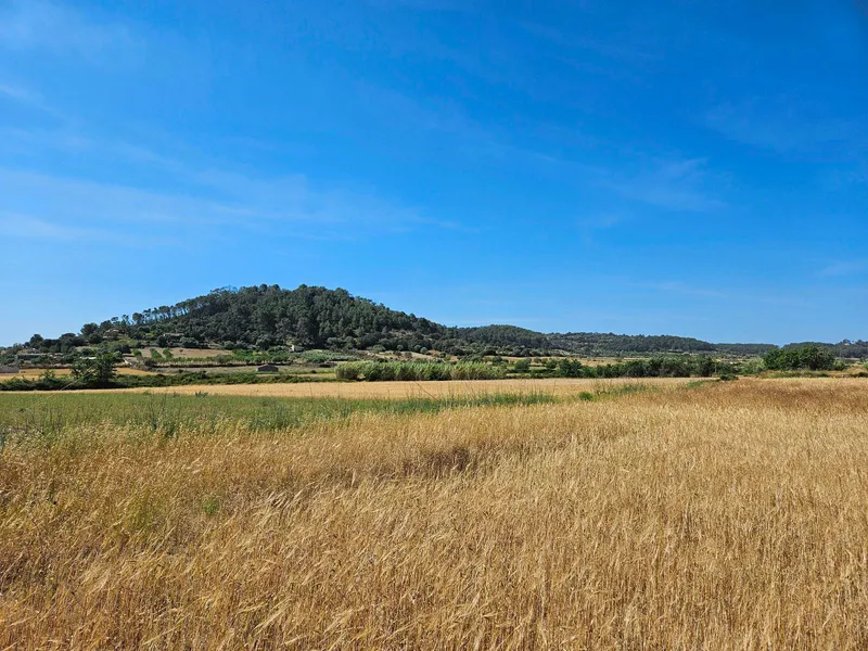 Rustic developable plot in Sineu — photo 6