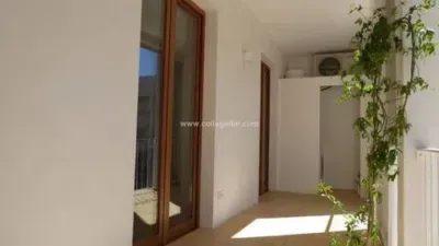 Apartment in Cort — photo 3