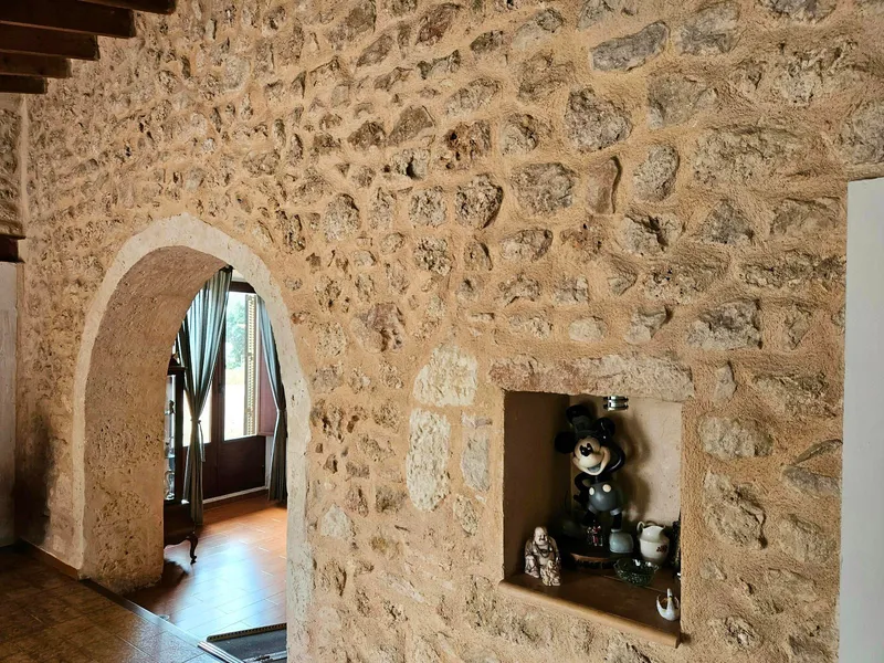 Rustic Finca in Lloret de Vista Alegre — photo 10