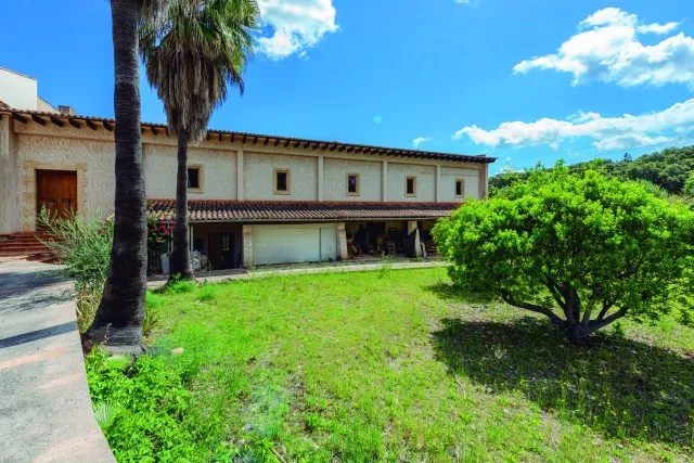 Versatile business premises for sale in Pollensa, Mallorca — photo 3