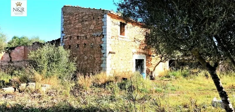 Rural or Farmhouse in Binissalem, Province of Balearic Islands — photo 6