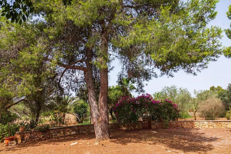 Rural or Farmhouse in Campos, Province of Balearic Islands — photo 9