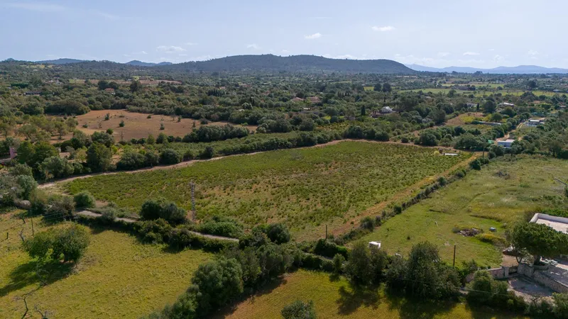 Rustic plot with project and favorable resolution in Llucmajor — photo 1