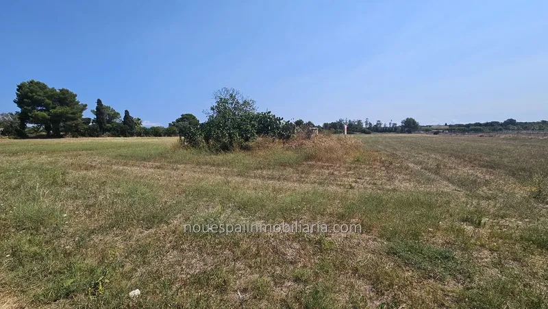 Rustic estate in Muro — photo 3