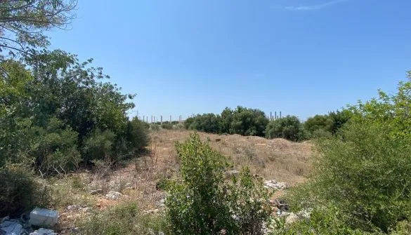 Plot in Bunyola — photo 1