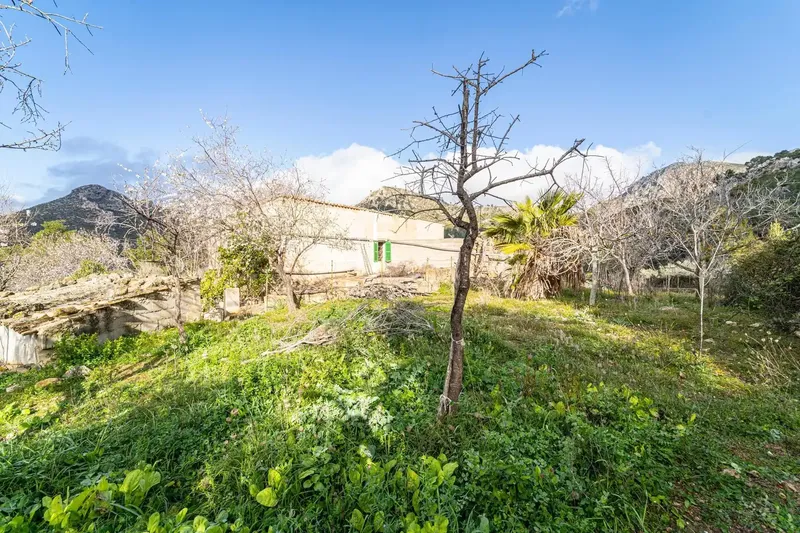 Fantastic country house with 5 bedrooms in the Sierra de Tramuntana — photo 10