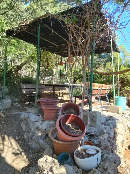 Se vende finca rústica en Son Net, a 2 km del pueblo, zona arbolada, tranquila y naturaleza al máximo. Carretera asfaltada hasta finca. Disp — photo 4